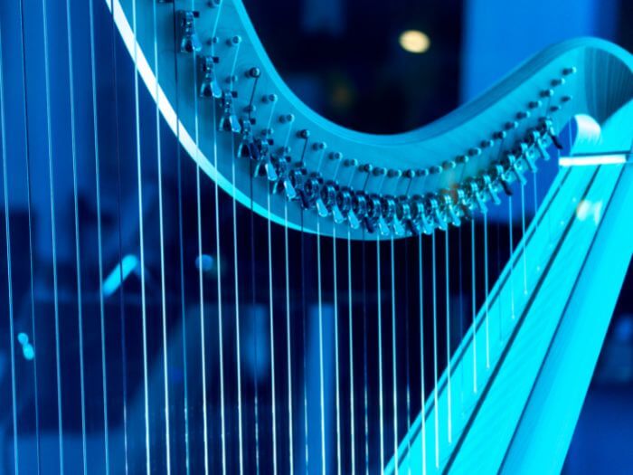 harp on stage